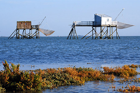 Kayak de mer et rivère en Charente-Maritime